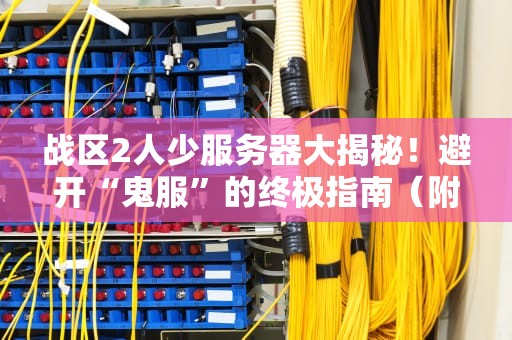 战区2人少服务器大揭秘！避开“鬼服”的终极指南（附实测数据）
