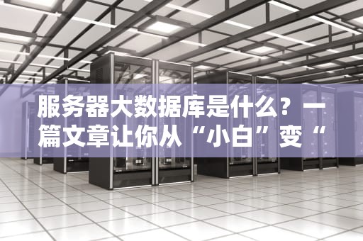 服务器大数据库是什么？一篇文章让你从“小白”变“大神”！