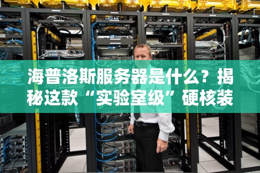 海普洛斯服务器是什么？揭秘这款“实验室级”硬核装备的5大真相！