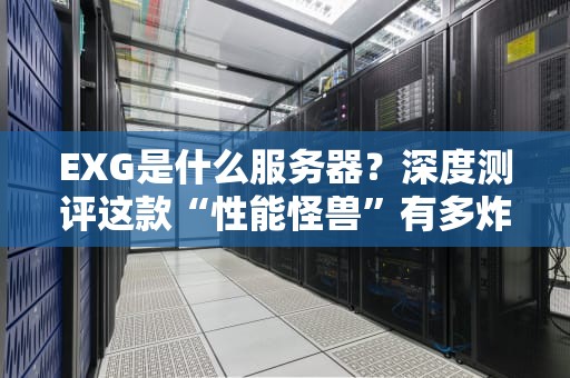 EXG是什么服务器？深度测评这款“性能怪兽”有多炸裂！
