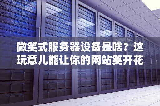 微笑式服务器设备是啥？这玩意儿能让你的网站笑开花吗？