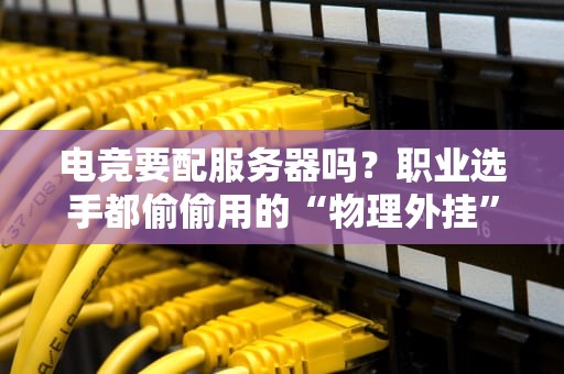 电竞要配服务器吗？职业选手都偷偷用的“物理外挂”揭秘！