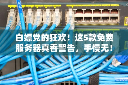 白嫖党的狂欢！这5款免费服务器真香警告，手慢无！
