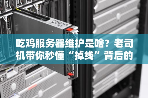吃鸡服务器维护是啥？老司机带你秒懂“掉线”背后的秘密！