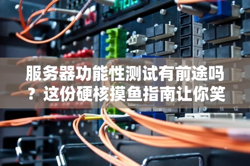 服务器功能性测试有前途吗？这份硬核摸鱼指南让你笑出8块腹肌！
