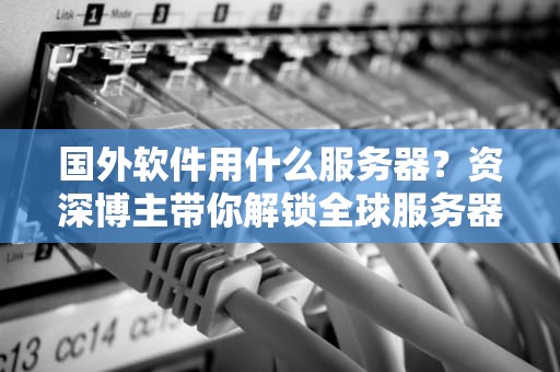 国外软件用什么服务器？资深博主带你解锁全球服务器选型秘籍！