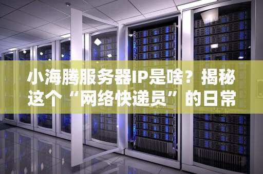 小海腾服务器IP是啥？揭秘这个“网络快递员”的日常！