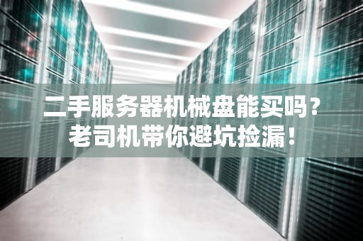 二手服务器机械盘能买吗？老司机带你避坑捡漏！