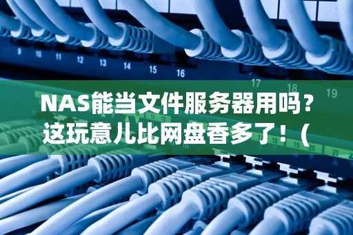 NAS能当文件服务器用吗？这玩意儿比网盘香多了！(附真实测评)