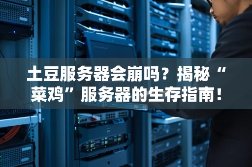 土豆服务器会崩吗？揭秘“菜鸡”服务器的生存指南！