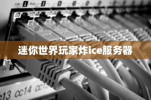 迷你世界玩家炸ice服务器