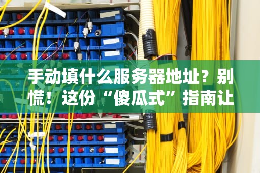 手动填什么服务器地址？别慌！这份“傻瓜式”指南让你秒变老司机！