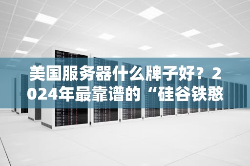 美国服务器什么牌子好？2024年最靠谱的“硅谷铁憨憨”大盘点！