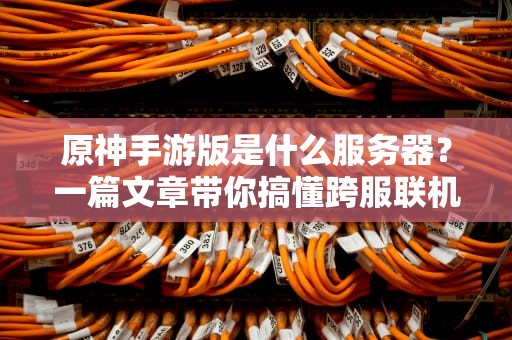 原神手游版是什么服务器？一篇文章带你搞懂跨服联机、延迟优化和玄学抽卡！