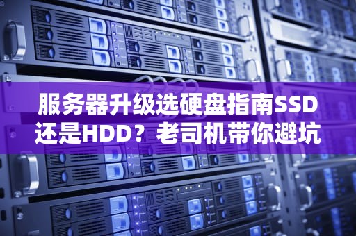 服务器升级选硬盘指南SSD还是HDD？老司机带你避坑飙车！