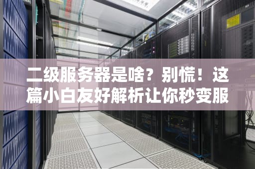 二级服务器是啥？别慌！这篇小白友好解析让你秒变服务器老司机！
