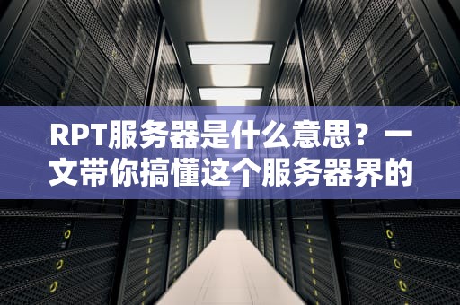 RPT服务器是什么意思？一文带你搞懂这个服务器界的特种兵
