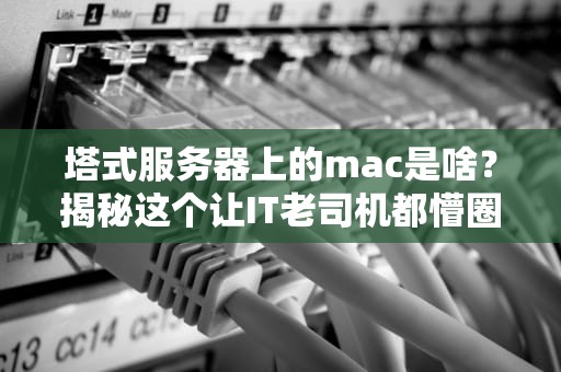 塔式服务器上的mac是啥？揭秘这个让IT老司机都懵圈的神秘代码！