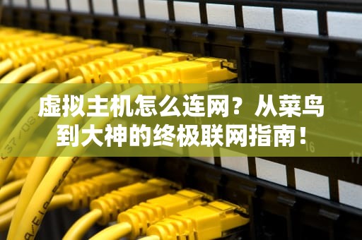 虚拟主机怎么连网？从菜鸟到大神的终极联网指南！