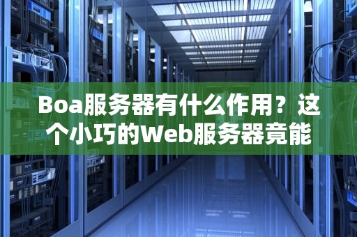 Boa服务器有什么作用？这个小巧的Web服务器竟能扛起大旗！