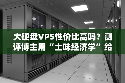 大硬盘VPS性价比高吗？测评博主用“土味经济学”给你算笔明白账！