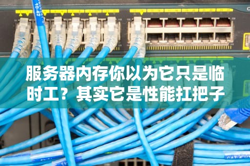 服务器内存你以为它只是临时工？其实它是性能扛把子！