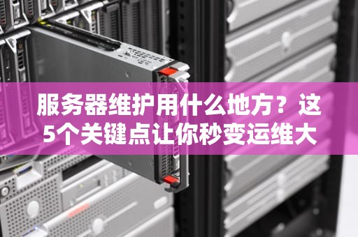 服务器维护用什么地方？这5个关键点让你秒变运维大神！