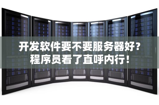 开发软件要不要服务器好？程序员看了直呼内行！