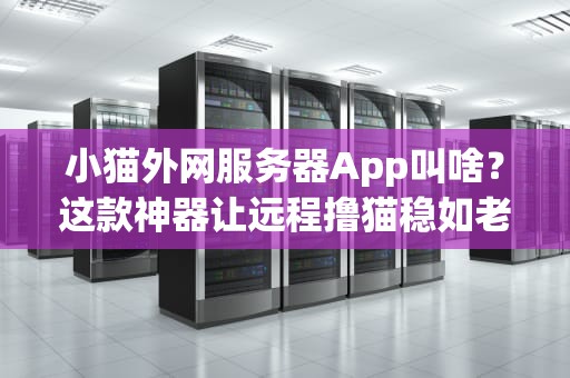 小猫外网服务器App叫啥？这款神器让远程撸猫稳如老狗！