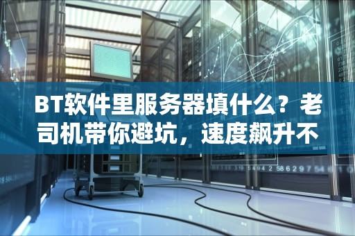 BT软件里服务器填什么？老司机带你避坑，速度飙升不是梦！