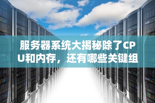 服务器系统大揭秘除了CPU和内存，还有哪些关键组件在“996”？