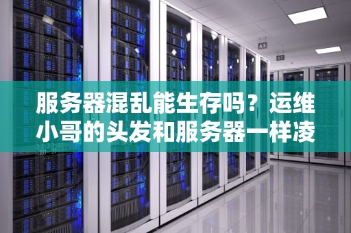 服务器混乱能生存吗？运维小哥的头发和服务器一样凌乱时会发生什么？