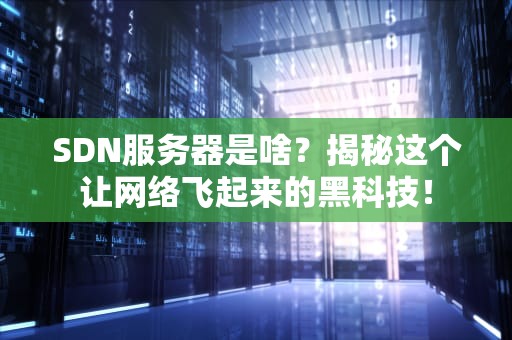 SDN服务器是啥？揭秘这个让网络飞起来的黑科技！