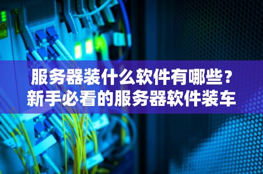 服务器装什么软件有哪些？新手必看的服务器软件装车指南！