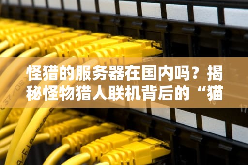 怪猎的服务器在国内吗？揭秘怪物猎人联机背后的“猫车”真相！
