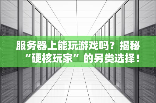 服务器上能玩游戏吗？揭秘“硬核玩家”的另类选择！