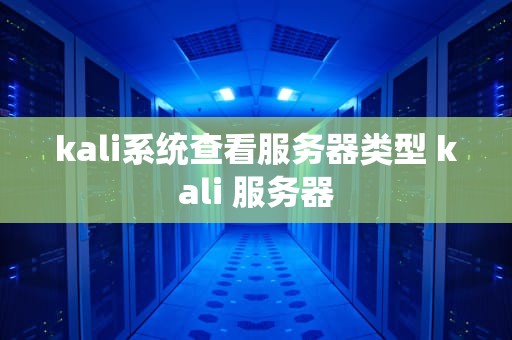 kali系统查看服务器类型 kali 服务器