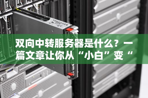 双向中转服务器是什么？一篇文章让你从“小白”变“大神”！