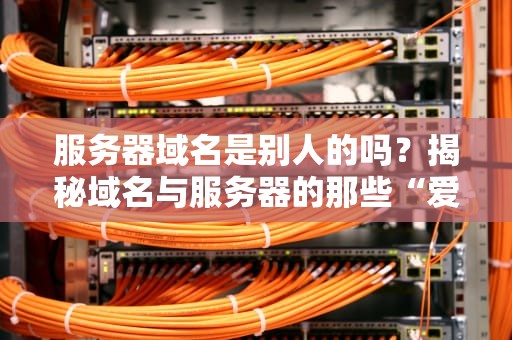 服务器域名是别人的吗？揭秘域名与服务器的那些“爱恨情仇”