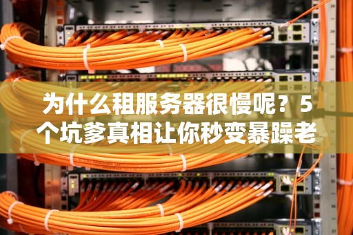 为什么租服务器很慢呢？5个坑爹真相让你秒变暴躁老哥！