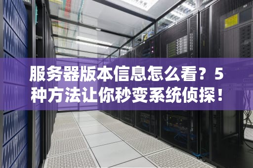 服务器版本信息怎么看？5种方法让你秒变系统侦探！