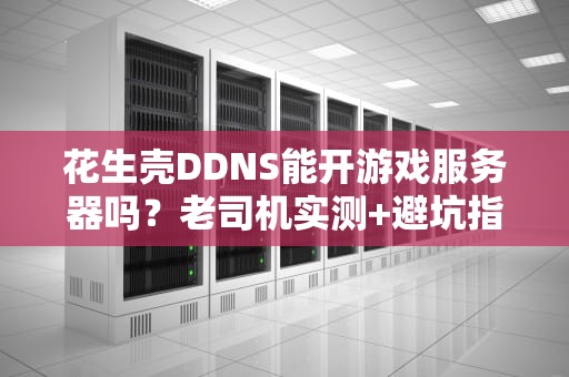花生壳DDNS能开游戏服务器吗？老司机实测+避坑指南！