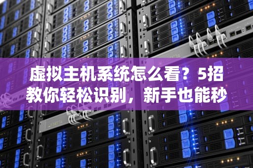 虚拟主机系统怎么看？5招教你轻松识别，新手也能秒变老司机！