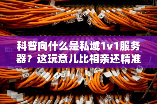 科普向什么是私域1v1服务器？这玩意儿比相亲还精准！