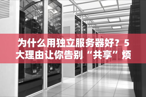 为什么用独立服务器好？5大理由让你告别“共享”烦恼！