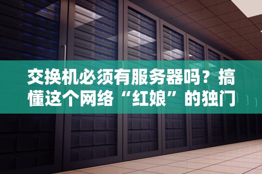 交换机必须有服务器吗？搞懂这个网络“红娘”的独门秘籍！