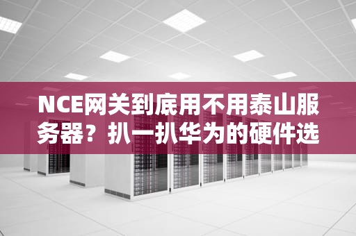NCE网关到底用不用泰山服务器？扒一扒华为的硬件选妃内幕！