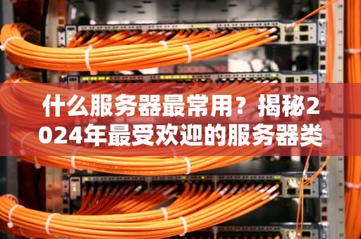 什么服务器最常用？揭秘2024年最受欢迎的服务器类型，新手必看！
