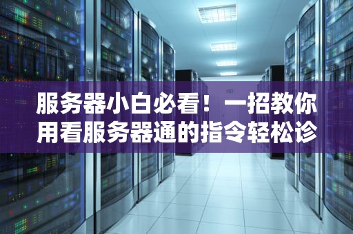 服务器小白必看！一招教你用看服务器通的指令轻松诊断网络问题
