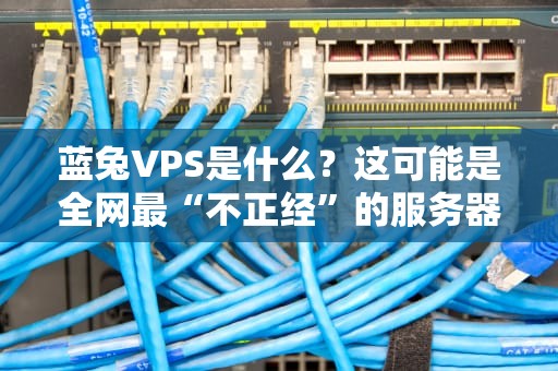 蓝兔VPS是什么？这可能是全网最“不正经”的服务器测评！